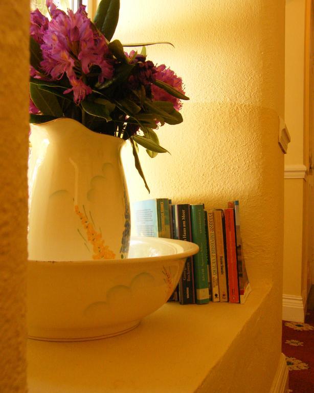 Druid Cottage Kenmare Bagian luar foto